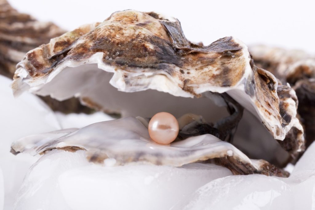 oyster-pearl
